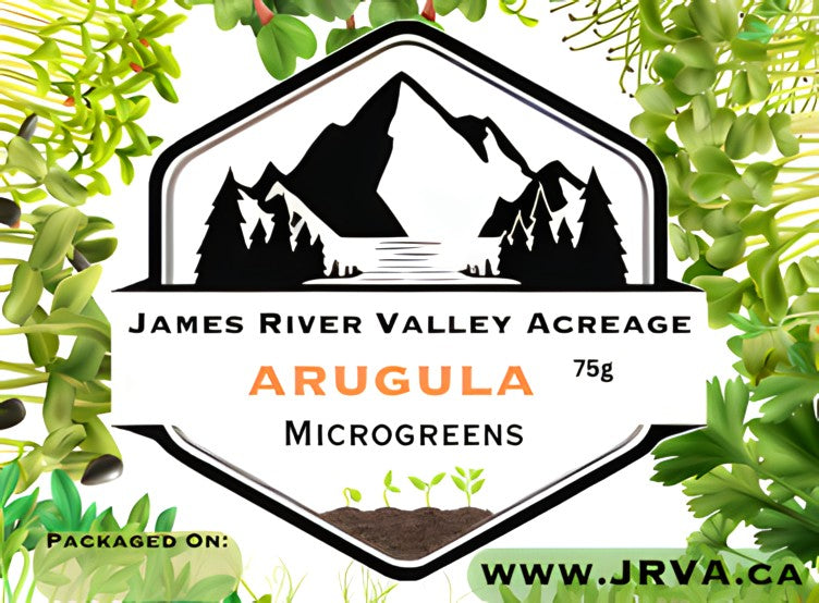 Arugula Microgreens