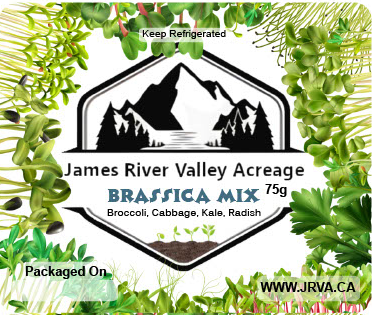 Brassica Mix - Broccoli, Cabbage, Kale, Radish