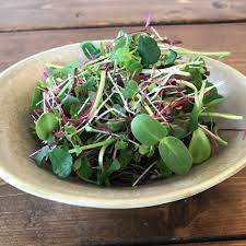 Farmer's Mix - Broccoli, Pea, Sunflower, and Popcorn.