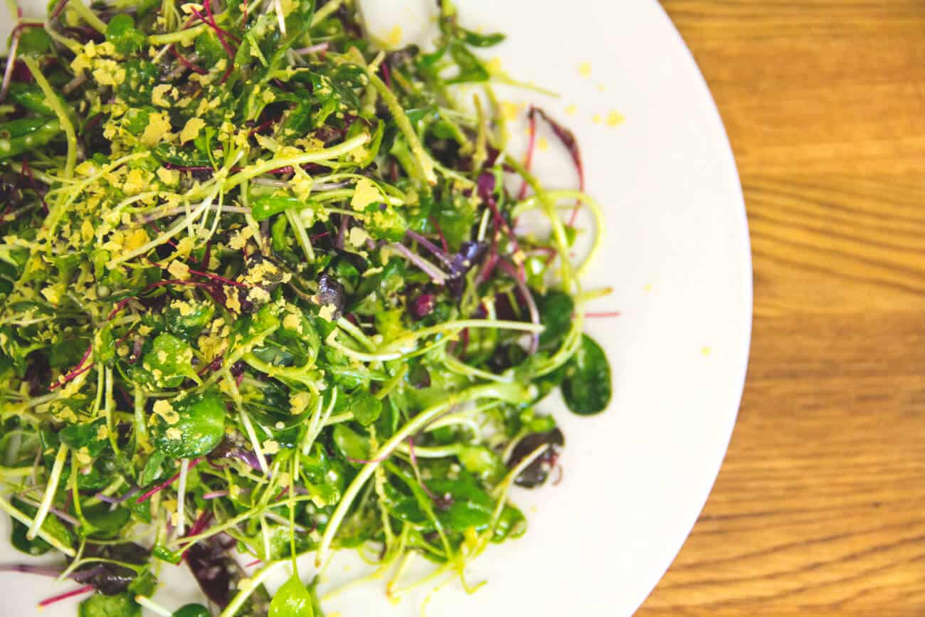 Sweet & Spicy Mix - Radish, Arugula, Broccoli & Popcorn
