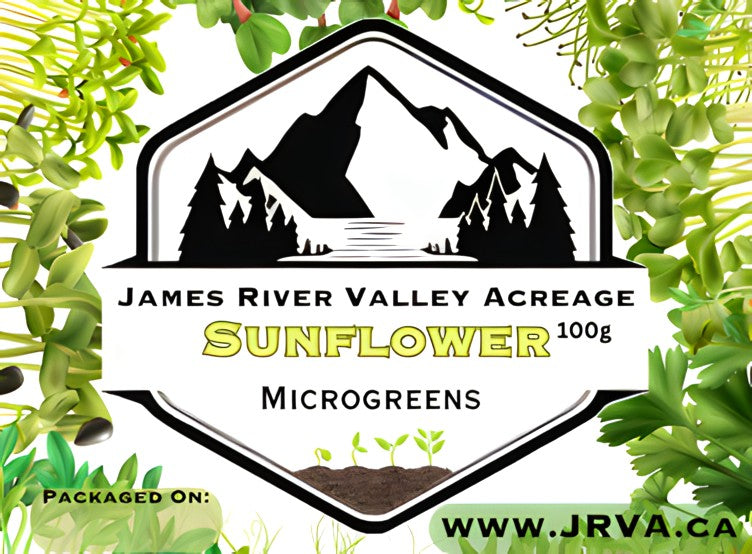 Sunflower Microgreens