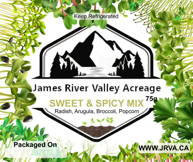 Sweet & Spicy Mix - Radish, Arugula, Broccoli & Popcorn