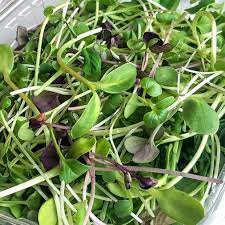 Valley Mix - Broccoli, Leek, Peas, & Sunflower