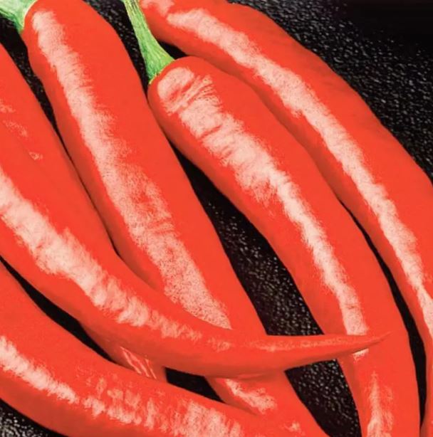 Pepper - Pepper - Long Red Cayenne