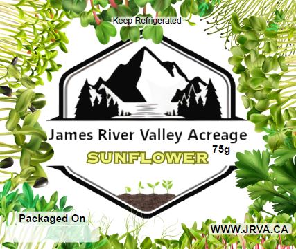 Sunflower Microgreens