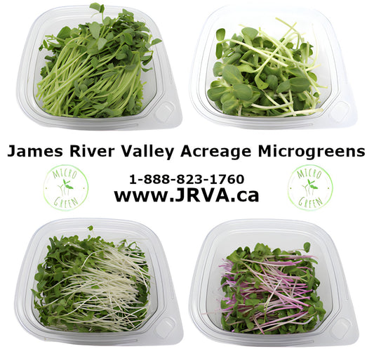 Double Mix-Up Variety Pack