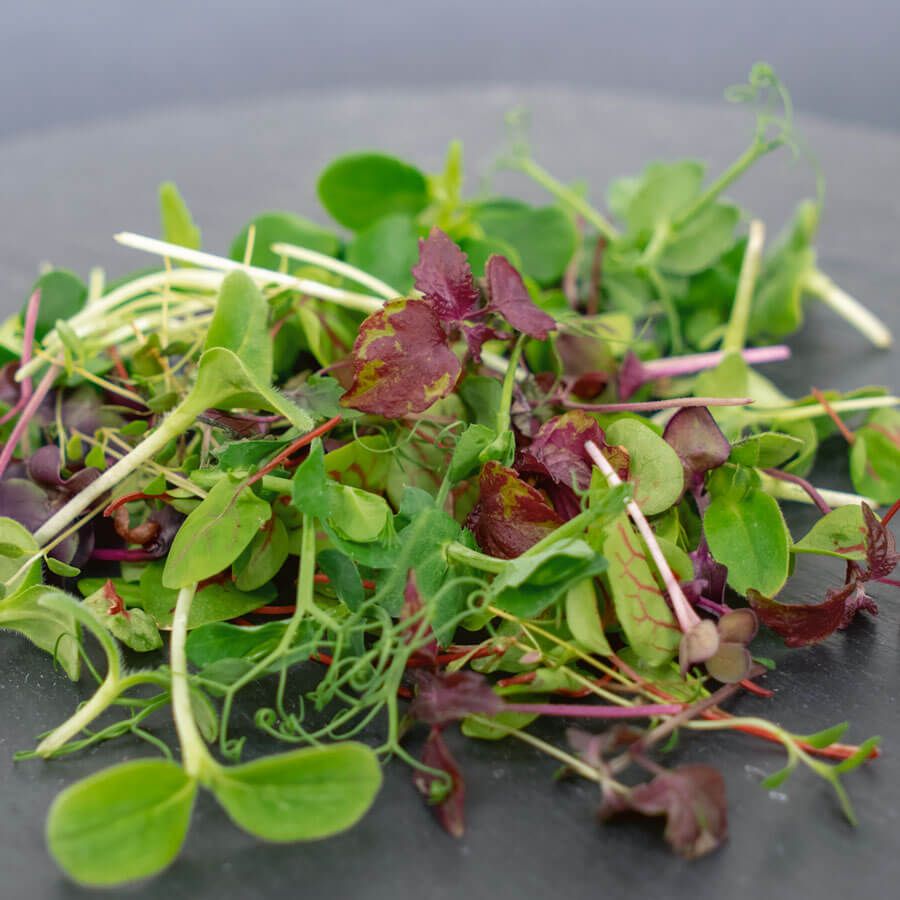 Favorites Mix - Broccoli, Radish, & Sunflower