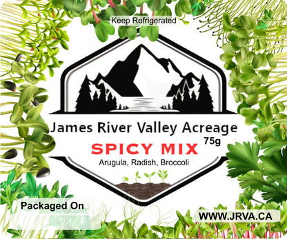 Spicy Mix - Arugula, Radish & Broccoli