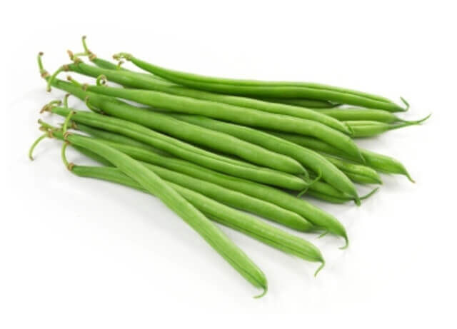 Blue Lake Organic Bush Bean