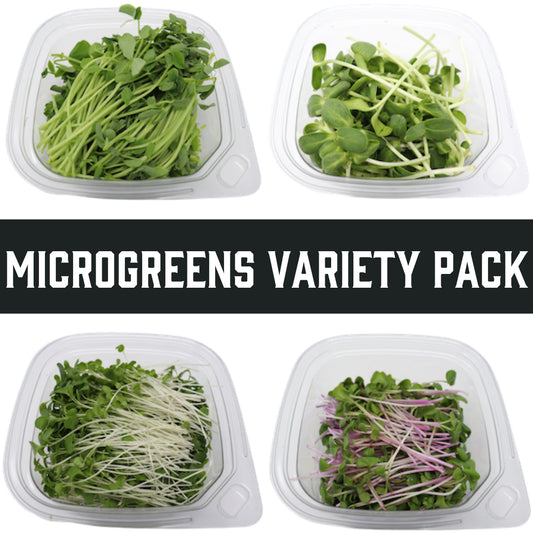Microgreens - Variety Pack Subscription Options